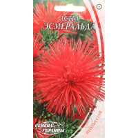 Насіння Квіти Айстра Голчаста Ееральда (0,25 Г)