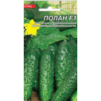 Насіння Огірок Полан F1 0,5 Г