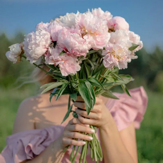 Купити Півонія Chiffon Parfait в Києві
