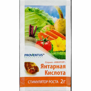 Янтарная Кислота 2Г