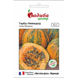 Насіння Гарбуз Нейкедсід, 10 Шт.