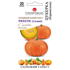 Насіння Гарбуз Цукерка 20 шт