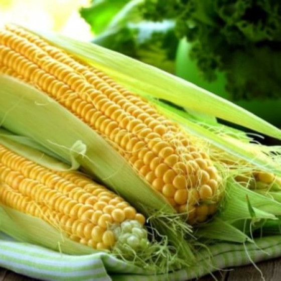 Купити Насіння Кукурудза Медові Булочки 20 Г в Києві