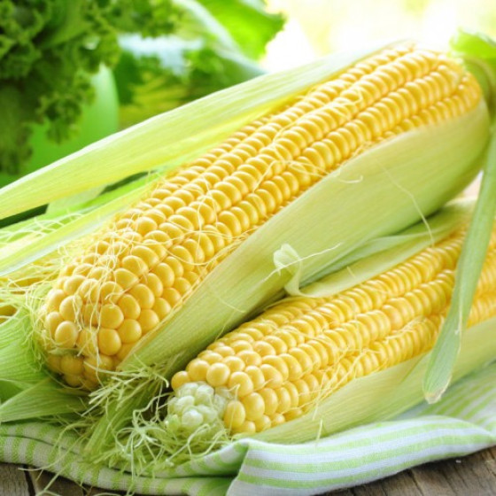 Купити Насіння Кукурудза Медовий Нектар 20Г в Києві