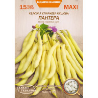 Насіння Квасоля Спаржева Пантера 15Г