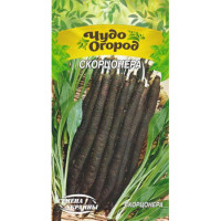 Насіння Скорцонера (1Г),