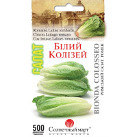Насіння Салат Білий Колізей