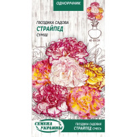 Насіння Квіти Гвоздика Садова Страйпед Суміш (0,1Г)