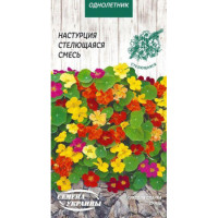 Насіння Квіти Красоля Сланка Суміш (1 Г)