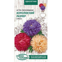 Семена Цветы Астра Пионовидная Королевский Размер Смесь (0,25 Г) Семена Цветы Астра Пионовидная Королевский Размер Смесь (0,25 Г)