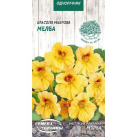 Насіння Квіти Красоля Махрова Мелба 1Г