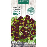 Насіння Квіти Красоля Низька Чорний Оксамит 1Г