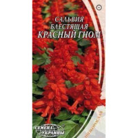Насіння Квіти Сальвія Червоний Гном (0,2Г) 