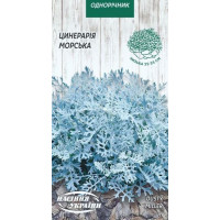 Семена Цинерария Морская 0,1 г Семена Украины