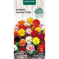 Насіння Жоржина Махрова суміш 0,2 г Насіння України