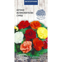 Насіння Квіти Бегонія Великоквіткова (Суміш) (10Шт) 