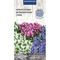 Насіння Квіти Чорноголовка Великоквіткова (Суміш) (0,1Г) 