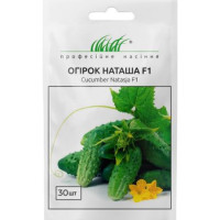 Насіння Огірок Наташа F1 30 Шт Зіп-Пакет (Голландія)