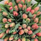 Купить Тюльпан махровый Pink Symbiose в Киеве